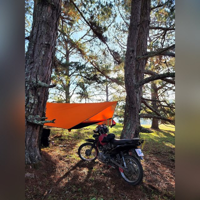 Hammock Camping