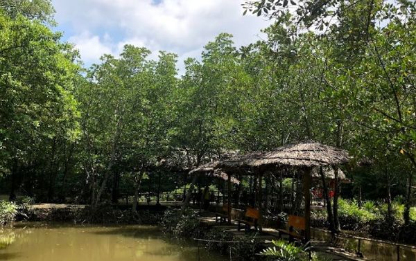 Top 10 địa điểm cắm trại gần Sài Gòn không thể bỏ lỡ